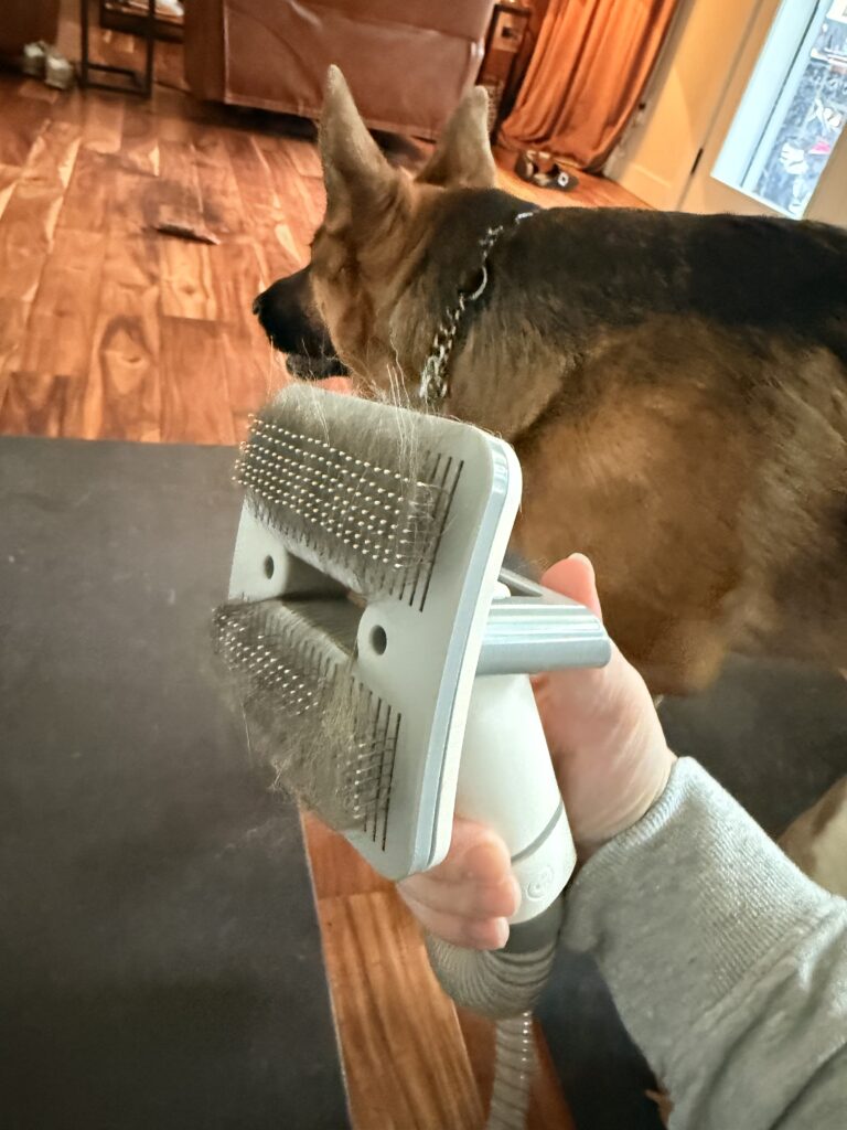 I Tried These Vacuums for Pet Hair So You Don’t Have To